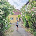 Fahr mal hin und schau´s mal an: Das unterschätzte Arnstein mit Naturbadesee, Burg, Rosengarten und Walderlebnispfad – VIELE FOTOS!