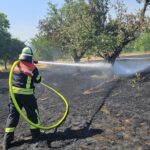 Wiese abgebrannt, Feuer greift auf Weinberg über: Erster Flächenbrand-Einsatz der Volkacher Feuerwehr