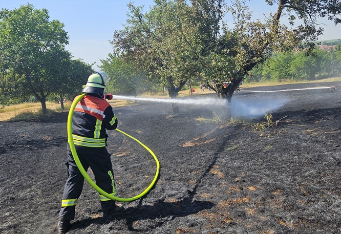 Wiese abgebrannt, Feuer greift auf Weinberg über: Erster Flächenbrand-Einsatz der Volkacher Feuerwehr