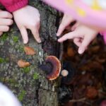 Familien-Schnitzeljagd am Fuße des Zabelsteins: Aus dem Jahresprogramm des Naturparks Steigerwald