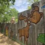 Abenteuer im Wildpark: Das Feriencamp für Kinder mit ADHS geht in die zweite Runde