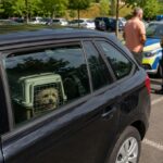 Hund trotz Hitze in Pkw gelassen: Tierhhalter zeigen sich uneinsichtig
