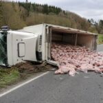 Kühlanhänger mit Schweinkeulen umgekippt: Fahrer leichtverletzt, hoher Sachschaden