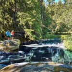 Goldsteig belegt Platz 2 bei „Deutschlands Schönster Wanderweg“, der Wildes-Wasser-Weg in Bodenmais ist bei den Tagestouren spitze