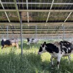 Doppelte Ernte in Hainert: Die erste Agri-PV-Anlage Unterfrankens geht an´s Netz