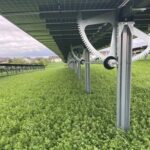 Informationstour der Bürgeraktion „Müll und Umwelt e.V.“: Nachhaltigkeit und Wertschöpfung am Beispiel Kunststoff-Recycling & Agri-Photovoltaik