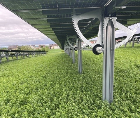 Informationstour der Bürgeraktion „Müll und Umwelt e.V.“: Nachhaltigkeit und Wertschöpfung am Beispiel Kunststoff-Recycling & Agri-Photovoltaik