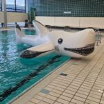 Schonungens Schwimmbad bleibt ein Erfolgsmodell: Positive Jahresbilanz im Ratsgremium, vielfältige Angebote und stabile Besucherzahlen
