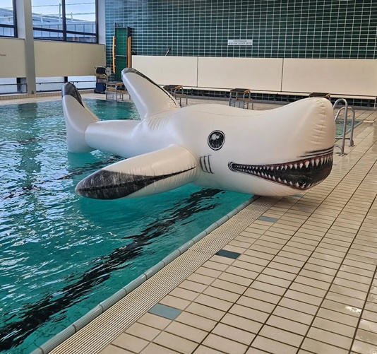 Schonungens Schwimmbad bleibt ein Erfolgsmodell: Positive Jahresbilanz im Ratsgremium, vielfältige Angebote und stabile Besucherzahlen
