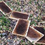 Gefahr für die regionale Bienenpopulation: Illegal entsorgte Bienenwaben bei Nüdlingen entdeckt