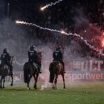 Horror-Einsatz von „Polizeipferden“ bei Ausschreitungen nach DFB-Pokalspiel in Mannheim: PETA erstattet Anzeige beim Veterinäramt