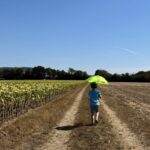 „Hitze.Klima.Foto“: Das sind die Gewinnerfotos beim diesjährigen Fotowettbewerb!