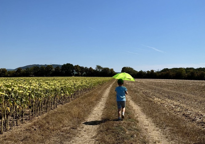 „Hitze.Klima.Foto“: Das sind die Gewinnerfotos beim diesjährigen Fotowettbewerb!