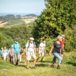 Trilogie in der zweite Runde: Die hessischen Jubiläums-Etappen des „HOCHRHÖNERS“ zu 20 Jahre Premiumwandern
