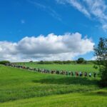 Wanderschuhe schnüren und auf zur Landkreiswanderung mit Tamara Bischof rund um Prichsenstadt