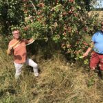Ernten erlaubt: Äpfel und Birnen aus Hausgärten und Streuobstwiesen retten und sinnvoll verwerten
