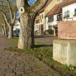 Marktheidenfeld setzt bei einer langen Nacht ein Zeichen für Demokratie