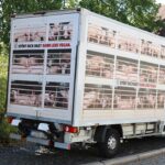 „Hell on Wheels“ vor der Agrarministerkonferenz in Würzburg: PETA konfrontiert Menschen mit den Schreien von Schweinen aus Tiertransporter