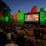 Nächstes Jahr gibt es eine Fortsetzung: Das Mainufer-Flimmern feierte einen gelungenen Auftakt, das Open-Air-Kino begeistert in Schonungen