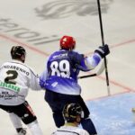 Perfekter Saisonstart der Mighty Dogs, die auch in Erfurt gewinnen