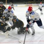 Die Mighty Dogs bleiben weiterhin auf Erfolgskurs und siegen auch in Bayreuth deutlich