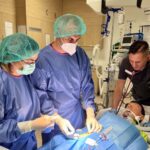 Alle sechs Minuten stirbt in Deutschland ein Mensch an Sepsis: Das Rhön-Klinikum Campus Bad Neustadt setzt auf Früherkennung