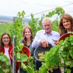 Weinlese 2026 in Franken ist offiziell eröffnet: Alois Rainer und Michaela Kaniber schneiden Trauben in Iphofen
