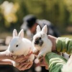 Freier Eintritt für alle ABC-Schützen zum Schulanfang im Wildpark Klaushof
