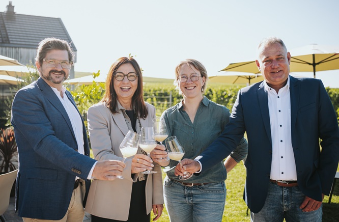 Kleine Menge – hohe Qualität: Fränkische Winzer ziehen Bilanz zur frühesten und kürzesten Weinlese je 2026