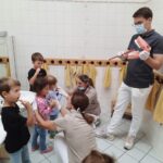 Gesundheitstag im Wernecker Kindergarten Marienau: Zähneputzen mit Herz, Wissen und einer großen „Elefantenbürste“