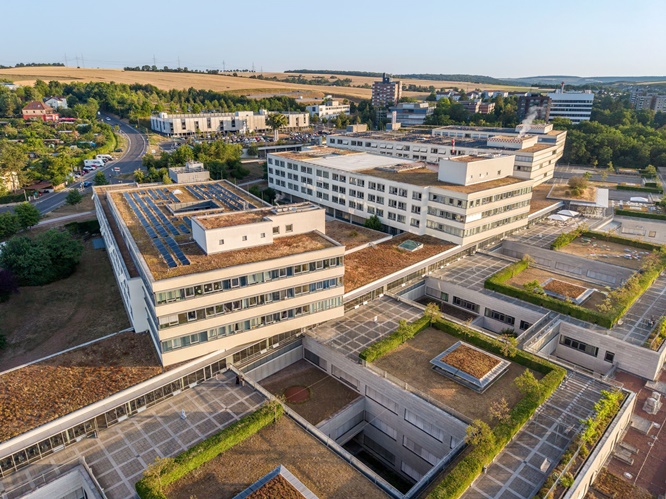 Reanimation macht Schule: Universitätsklinikum Würzburg bietet kostenloses Training für Schulklassen an