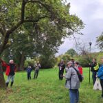 Streuobstwanderung in Hohnhausen für Einblicke in die Vielfalt der regionalen Apfel- und Birnensorten
