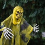Halloween am 31. Oktober im Zoologisch-Botanischen Garten: Schaurig-schöne Begegnungen in der Wilhelma