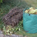 Sammelaktion für holzige Gartenabfälle als Angebot des Abfallwirtschaftsbetriebs: Privathaushalte können Schnittgut kostenfrei abgeben