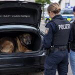 Weil sie ihren Hund in einem zu kleinen Kofferraum zurückgelassen hat, ermittelte die Polizei gegen eine 20-Jährige