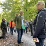 Kommunalwald³: Wie Lohr Wirtschaft, Ökologie und Gemeinwohl verbindet