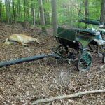 Seniorin stirbt nach Unfall mit Pferd auf Oktoberfest: PETA fordert von Münchens Oberbürgermeister Kutschverbot auf der Wiesn