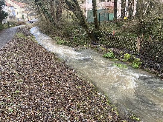 Renaturierung: Naturnahe Umgestaltung des Marbachs ab Montag zwischen Parkstraße und Schützenstraße