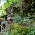 Wandern in Bad Kissingen – durch Wälder oder zu Wichtelhöhlen: Wo jeder Weg zum Erlebnis wird