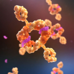 Blasenkrebs: Antikörper-Kombinationstherapie gegen die Abwehrtricks des Tumors